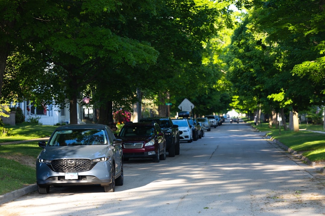 Tree-lined residential street in a Spokane-area neighborhood